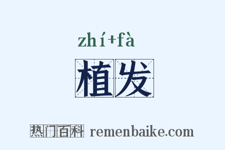 植发是什么意思的图片